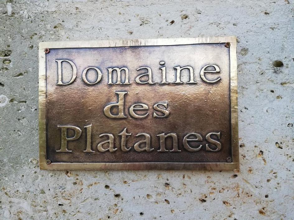 Bed and Breakfast Le Domaine Des Platanes Bourg-Charente Екстер'єр фото